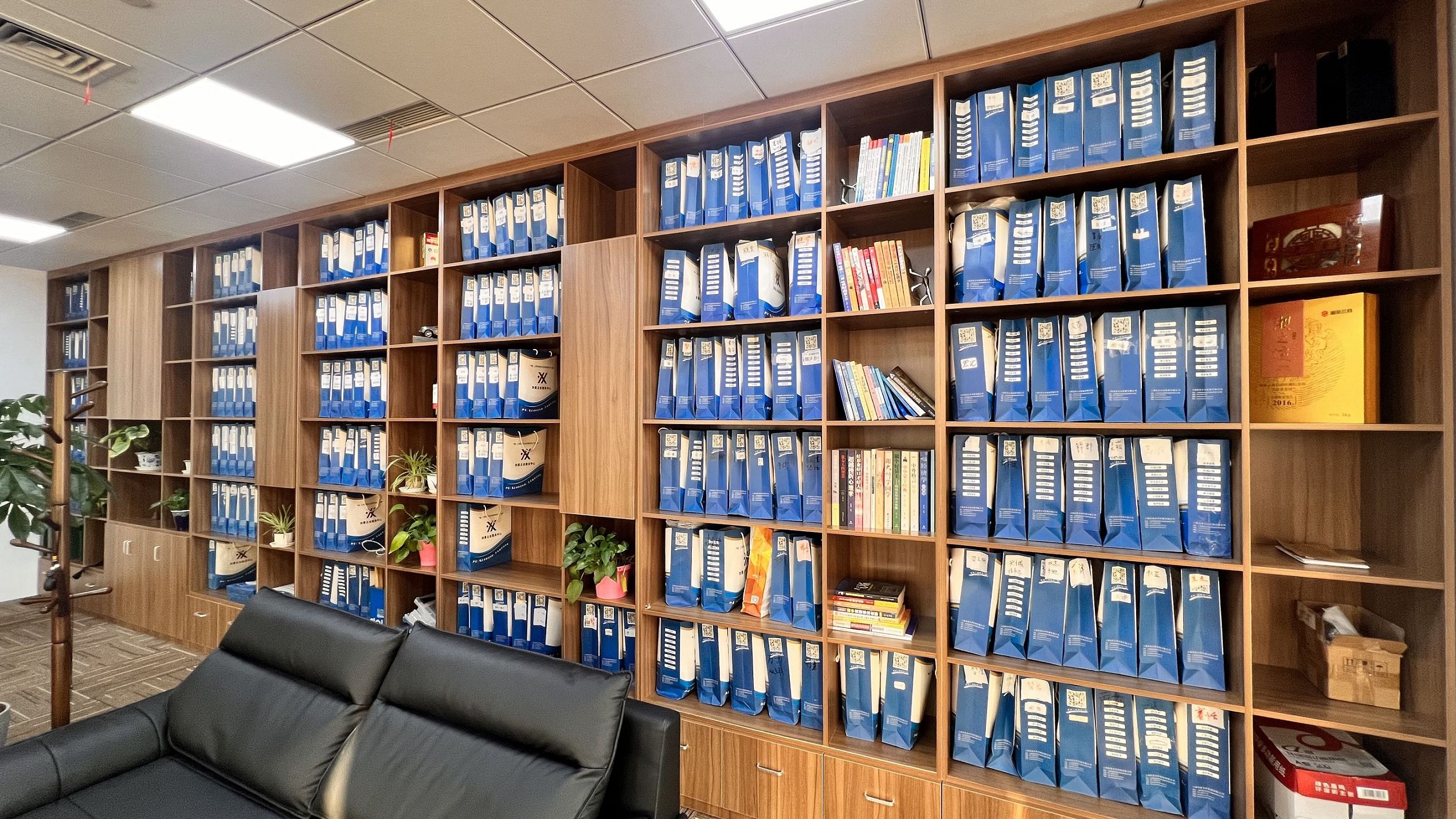 上海注册分公司优势快速实现